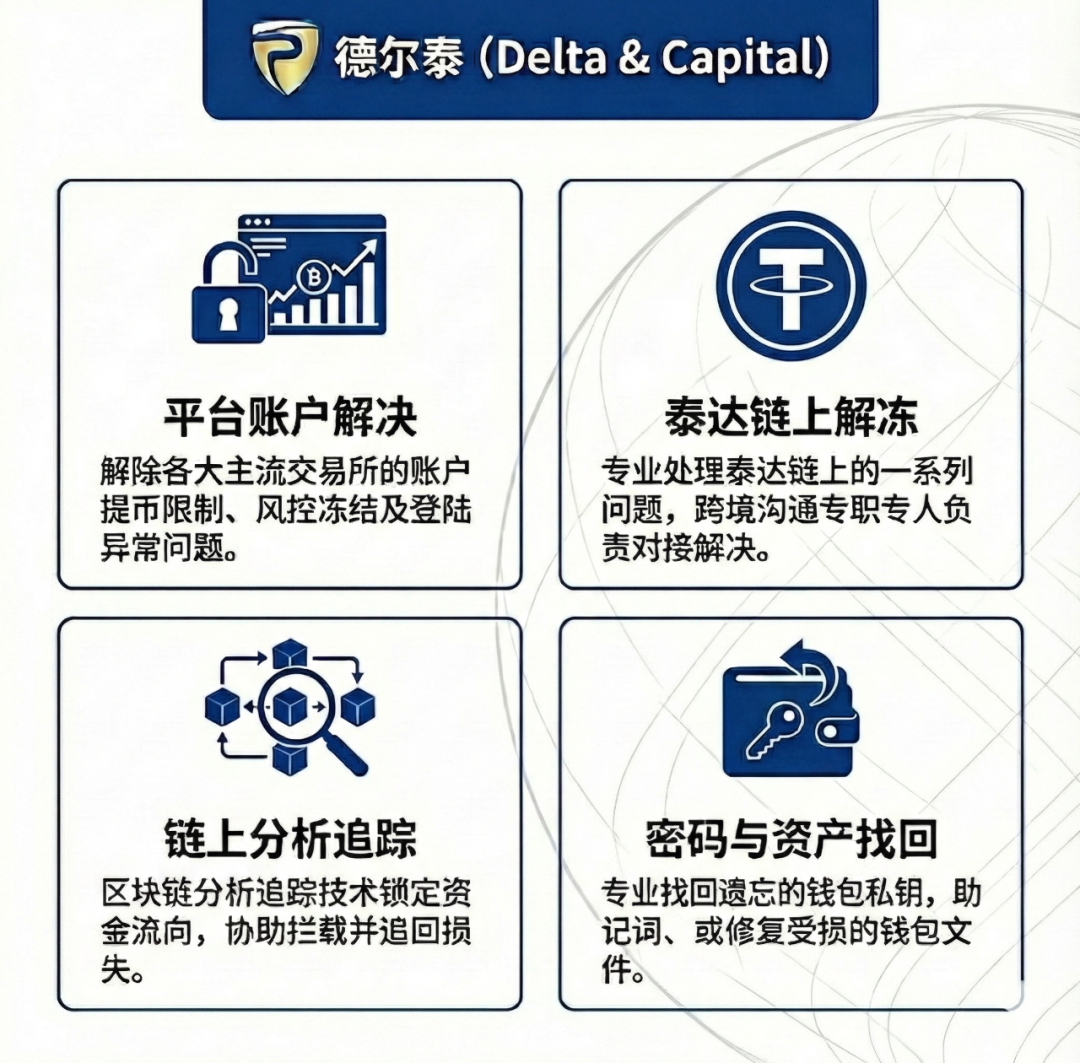 遭遇平台风控或资产受限?联系德尔泰获取专属合规自证方案